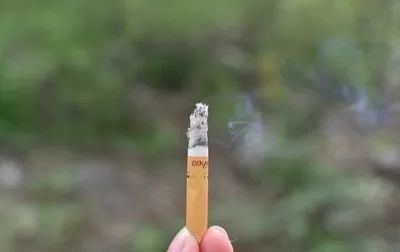 越南假烟怎么买_越南假烟以假乱真_越南代工假烟