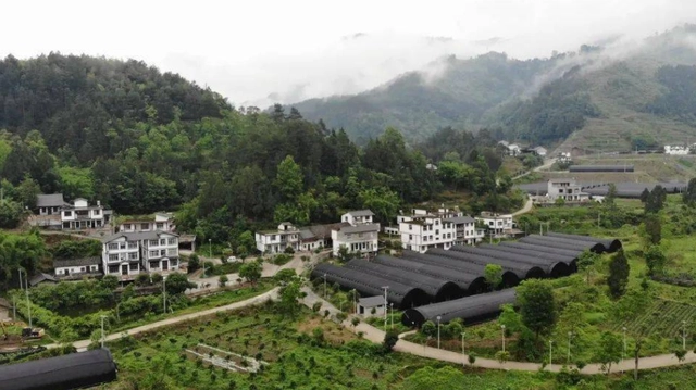 复刻茅台酒拿货渠道_复刻茅台酒_复刻茅台多少钱