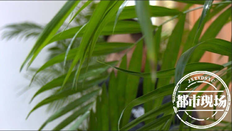 茅台飞天a货厂家_A货飞天茅台_43°茅台飞天