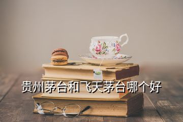 贵州茅台和飞天茅台哪个好